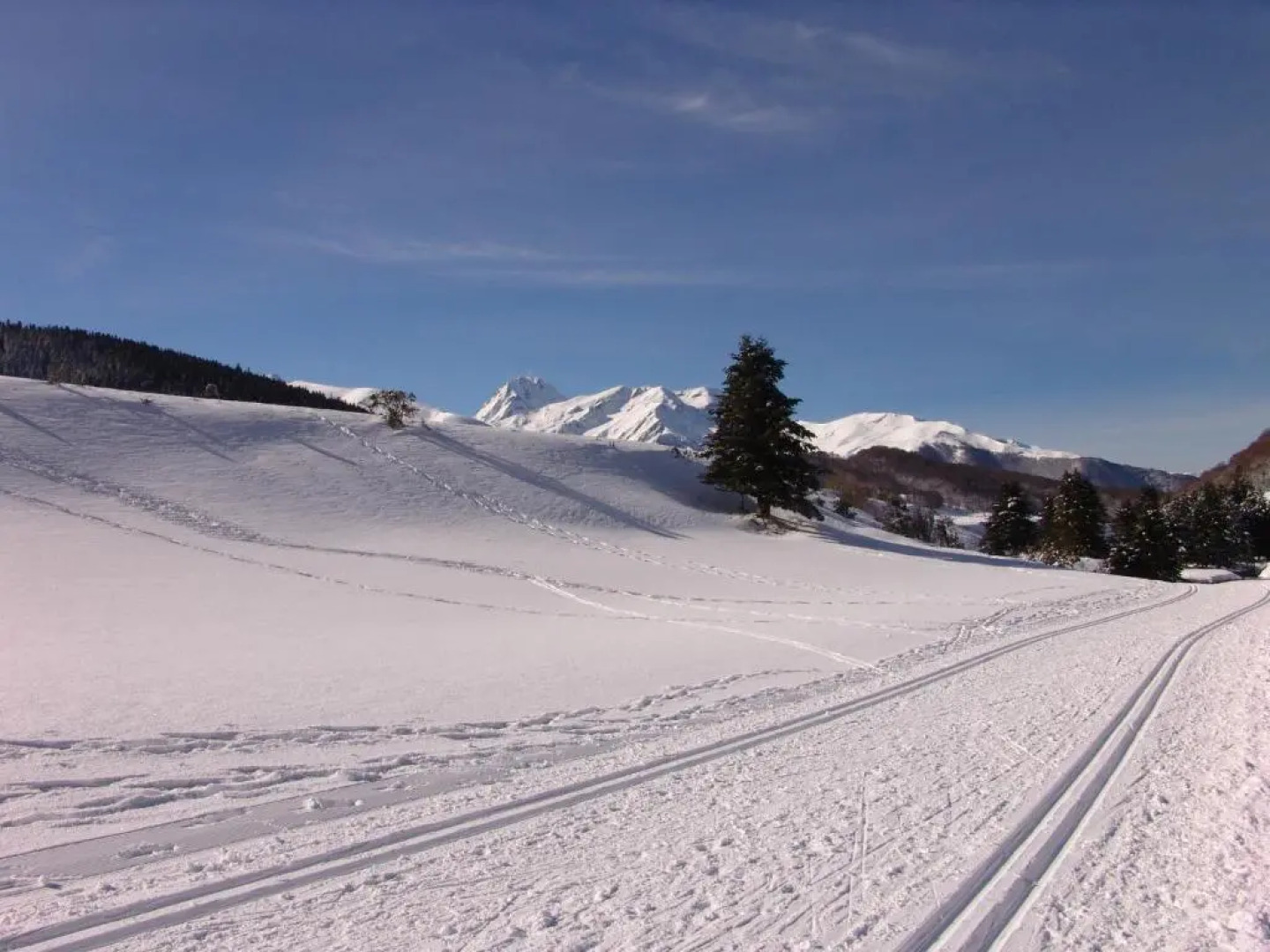 Le Buala Maison dHôtes