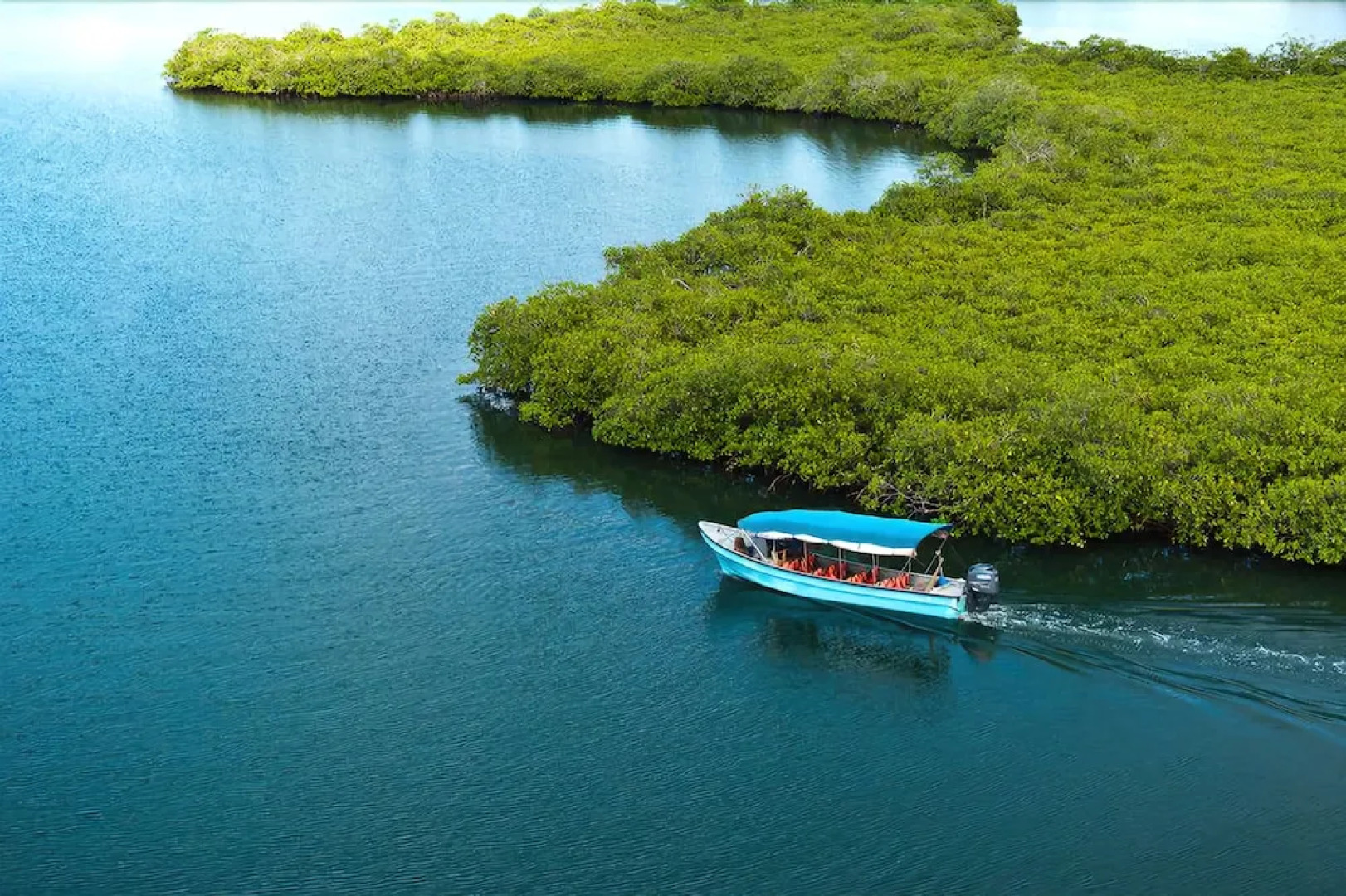 The Island Hub at Red Frog Beach Resort