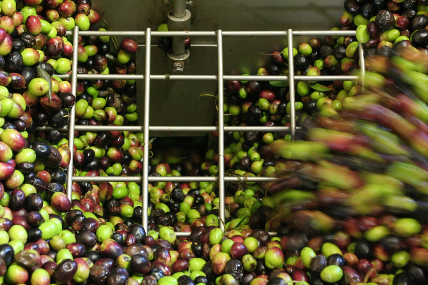 Agriturismo Le Ceregne bio