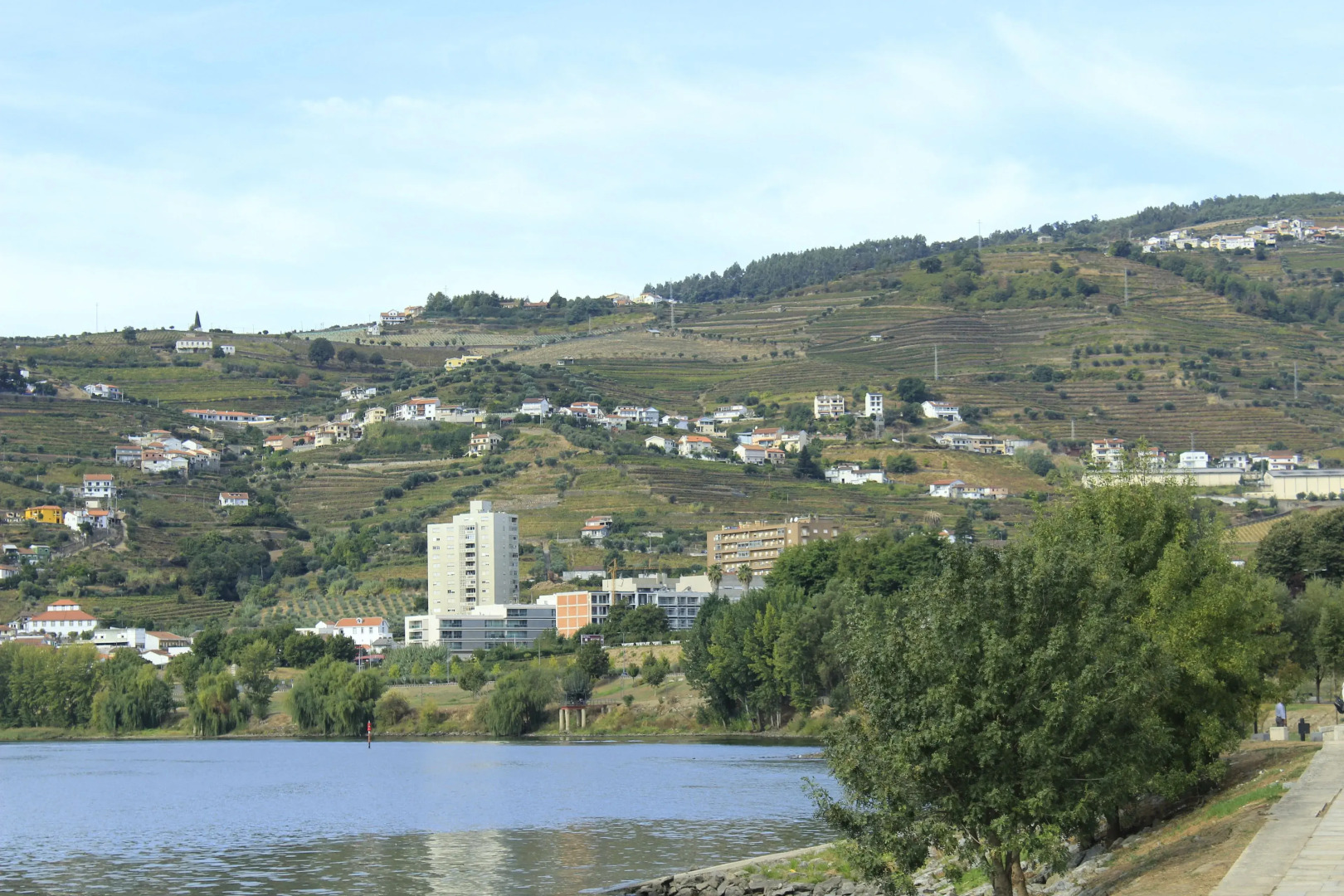 Casa do Salgueiral Douro