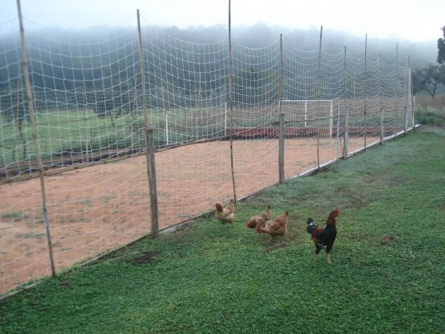 Hotel Fazenda Recanto do Monte Alegre