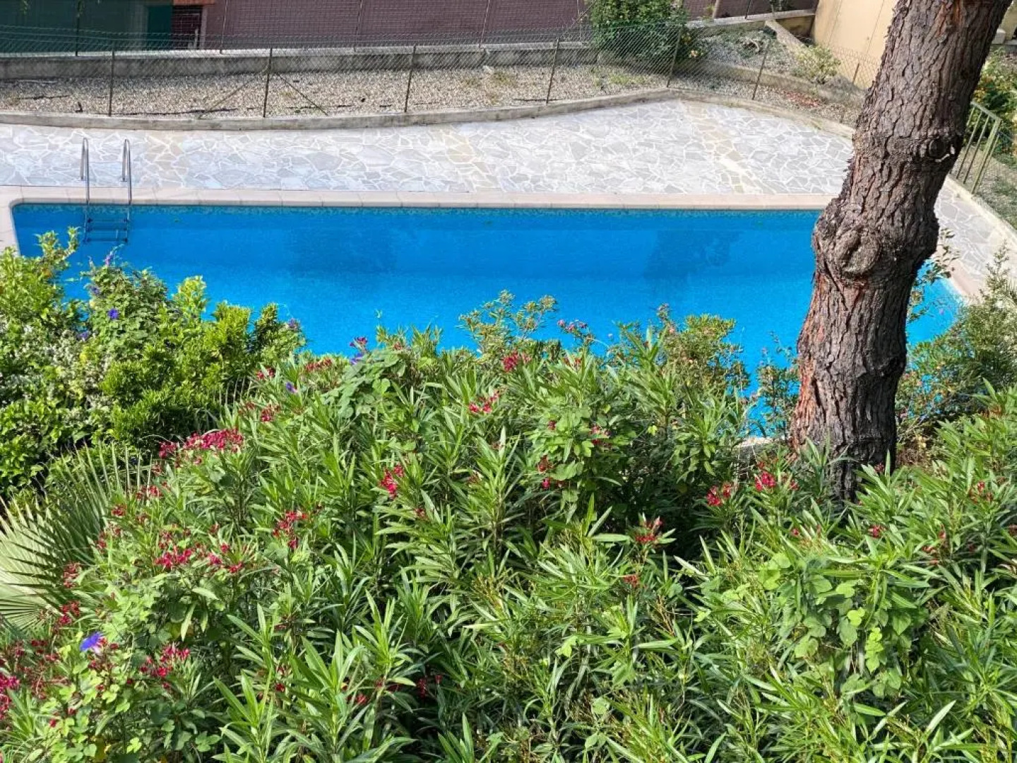 Mansfield vue carte Postale Terrasse Piscine calme port à 200m à pied