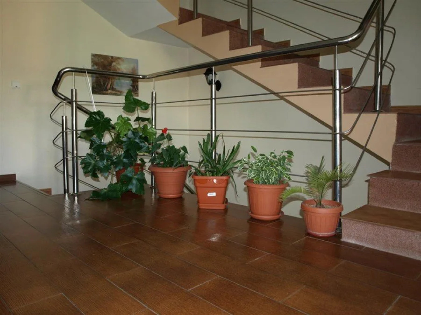 Pension Dor de munte