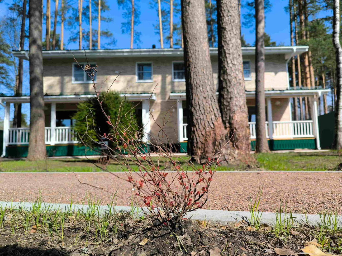 Дача Сосновка