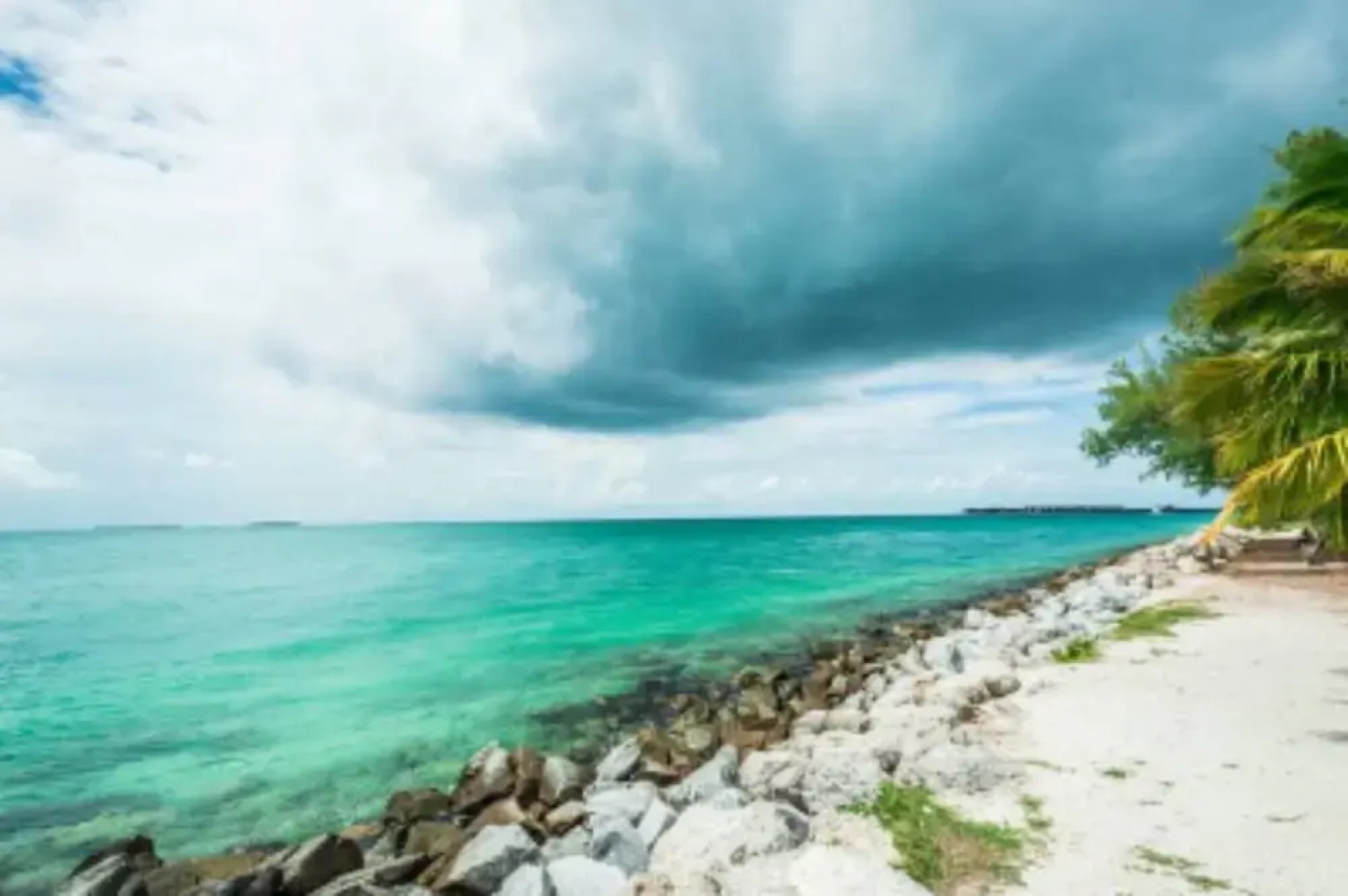 Coral Garden by Avantstay Great Location w/ Balcony & Shared Pool