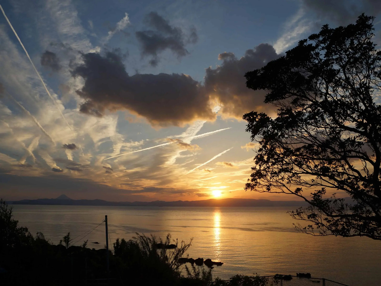 Yukusa Ohsumi Umi no Gakko