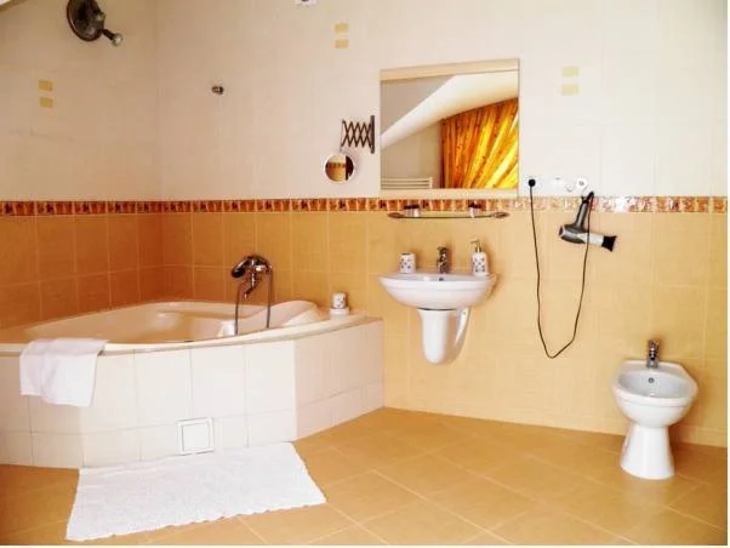 Червона Рута