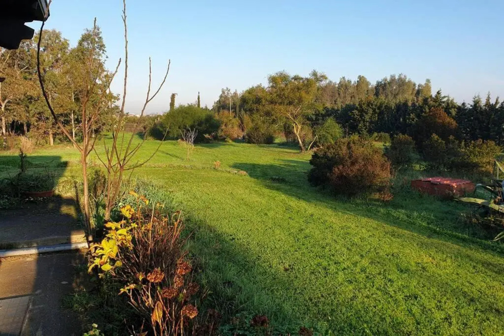 Roby's House, Vivi la Vacanza in Relax (2l)