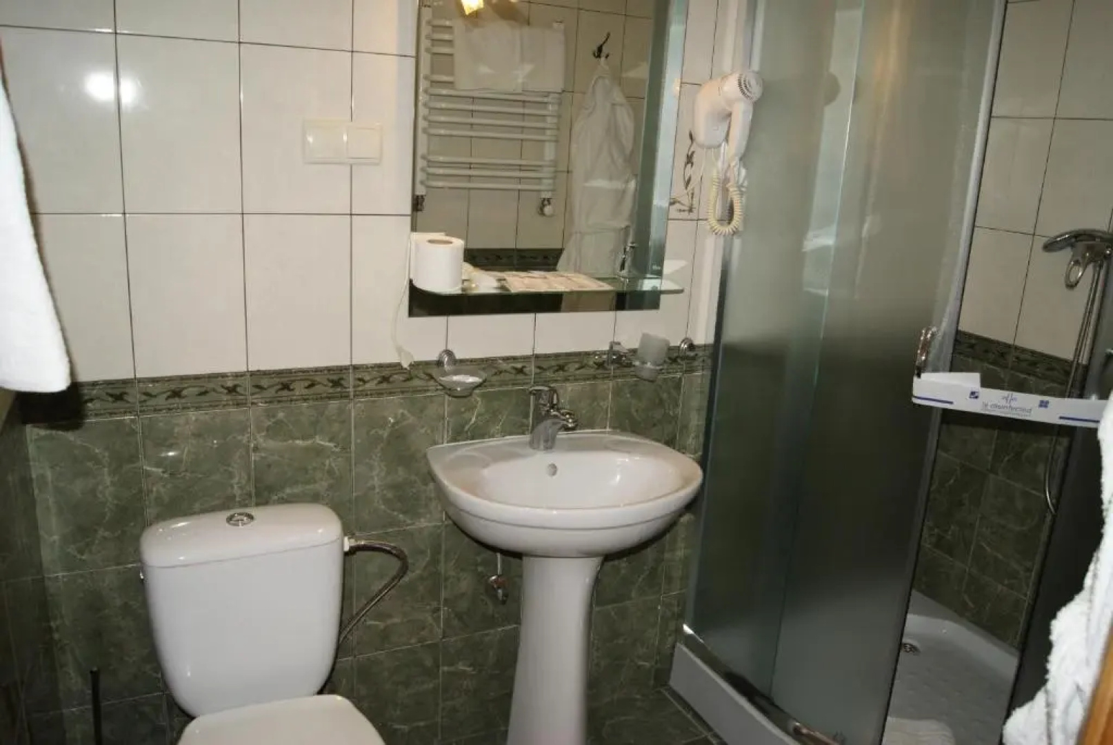 Hotel "Dykyi Med"