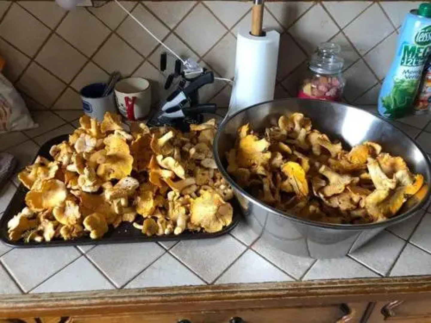 Gite CATHARE en OCCITANIE