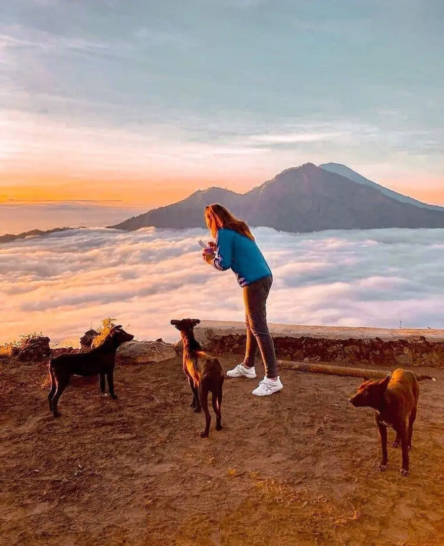 Batur Caldera Guesthouse