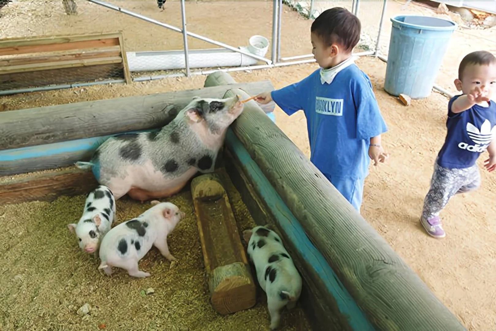 Taean Attica Pension