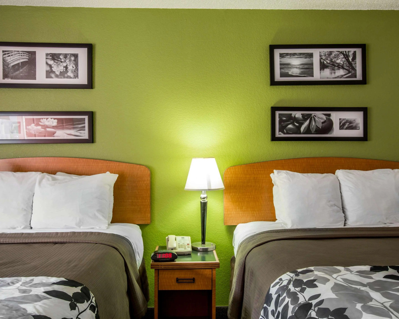 Sleep Inn & Suites near Sports World Blvd