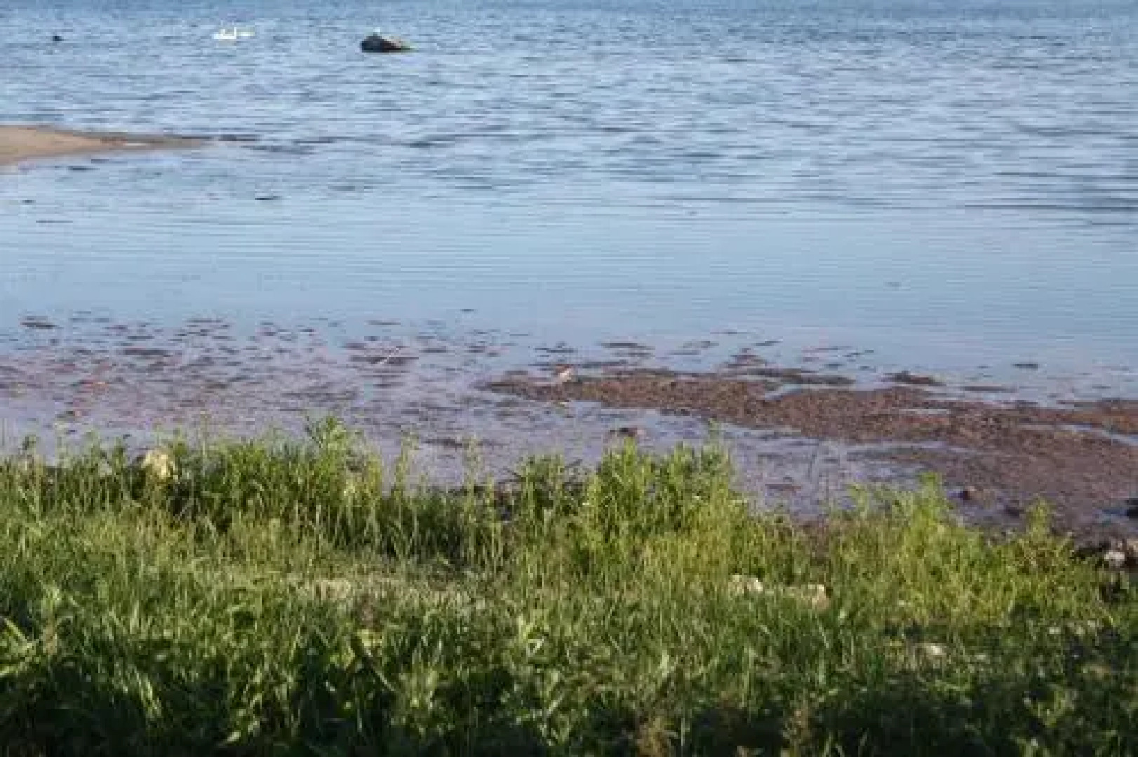 Melösa Rum o Frukost