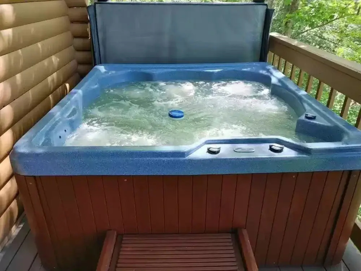 Smoky Mountain Reins #2314