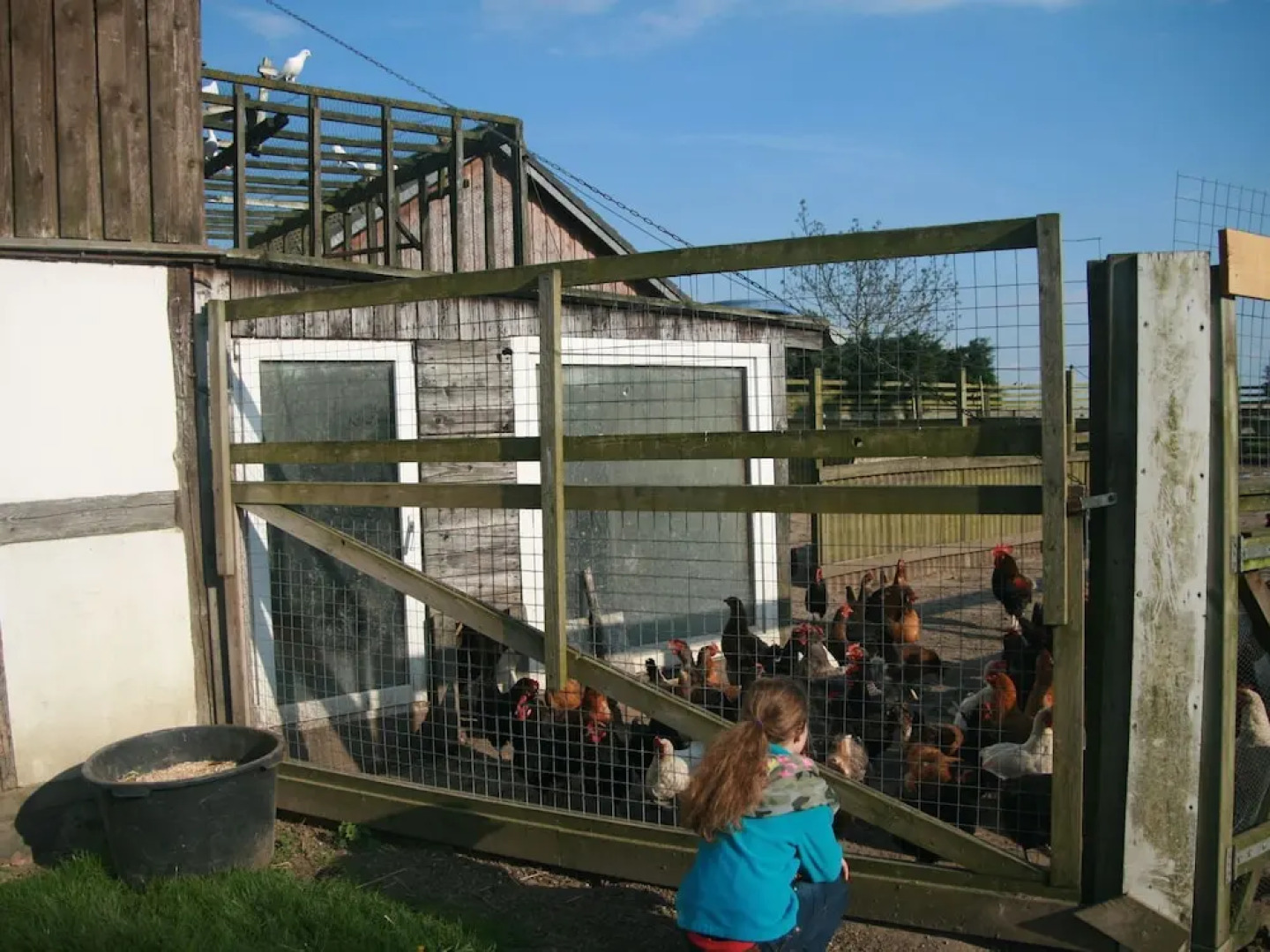 Cozy Holiday Home in Gersdorf with Private Terrace