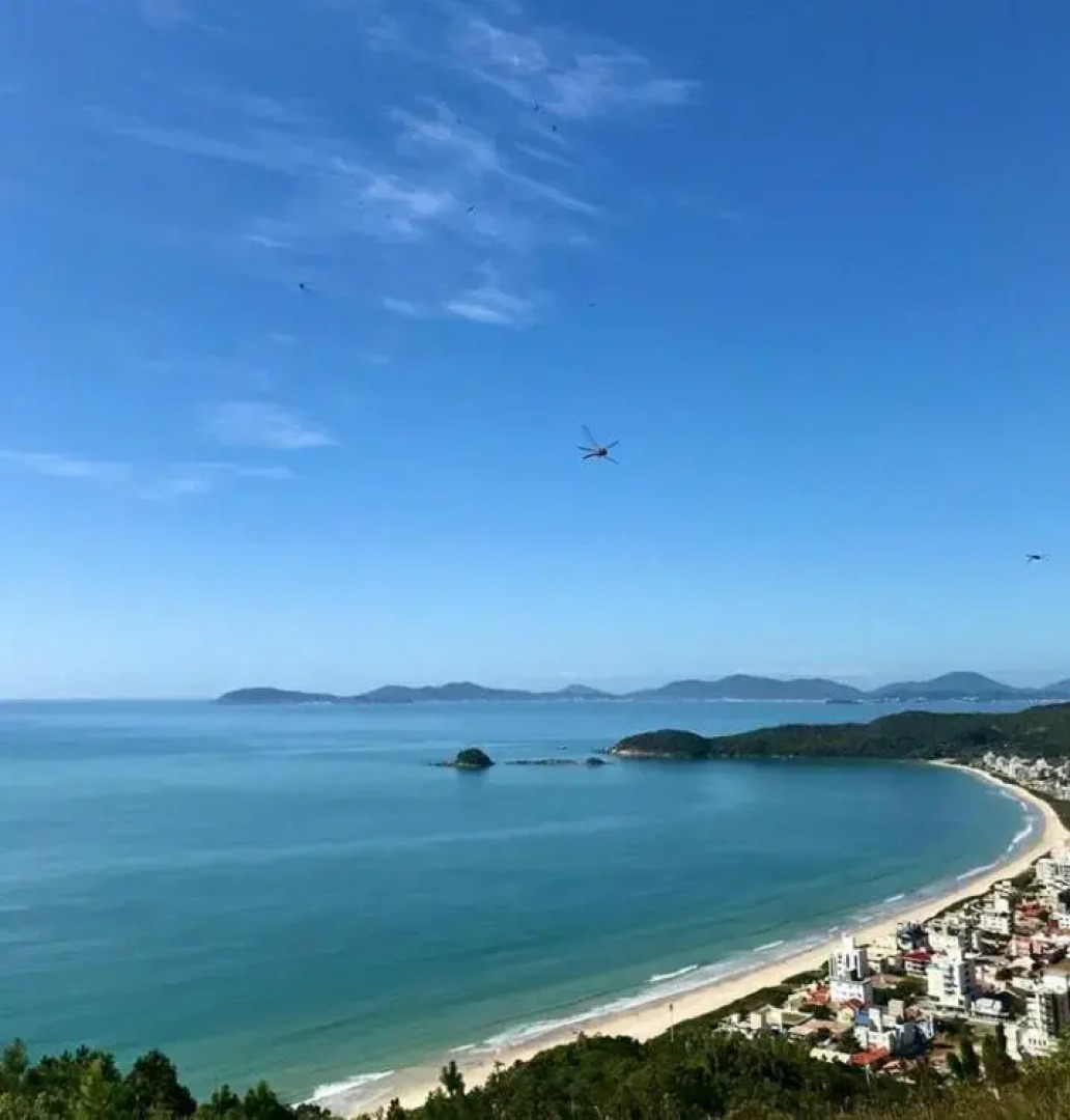 Palmas em Gov Celso Ramos-Cobertura