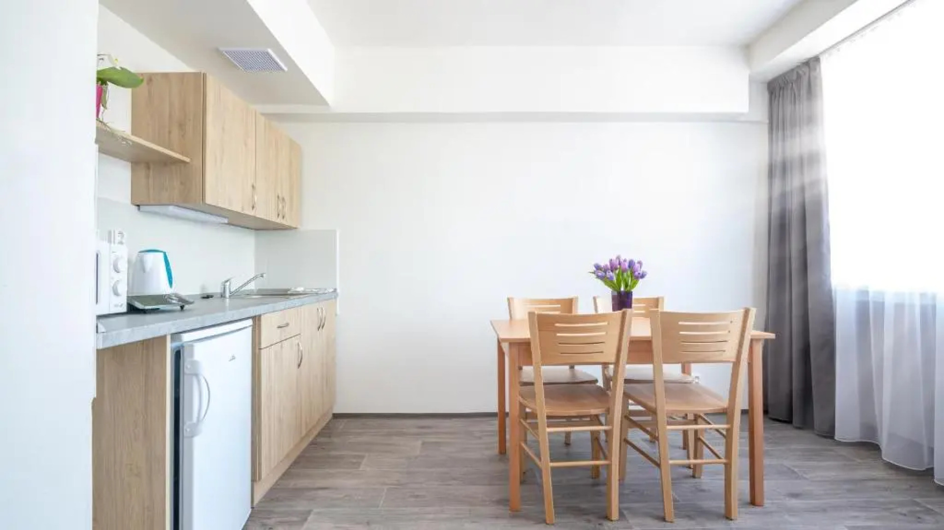 Apartmany a Studia Zamecky park