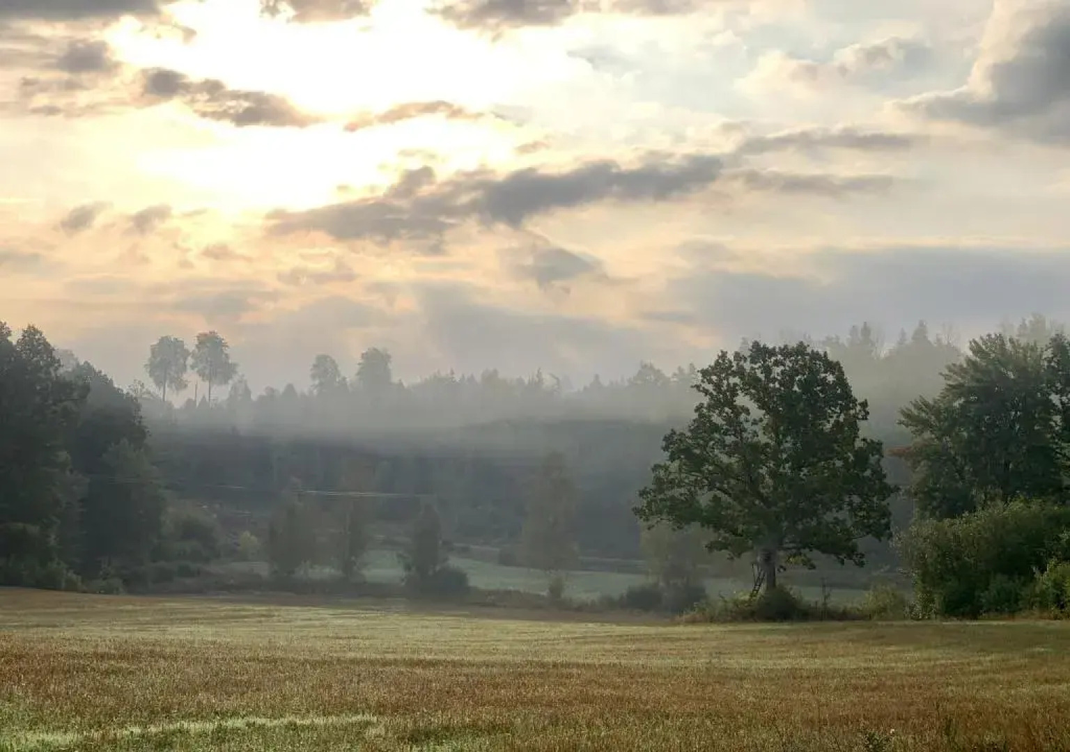 Häradssätter Gård