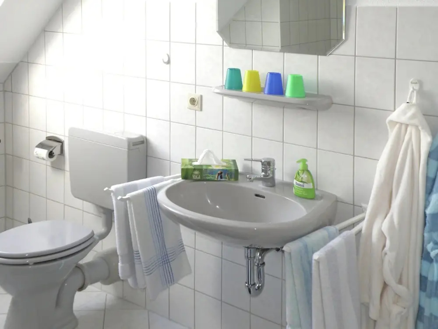 Beautiful Apartment in Wolfshagen im Harz With Gym and Balcony