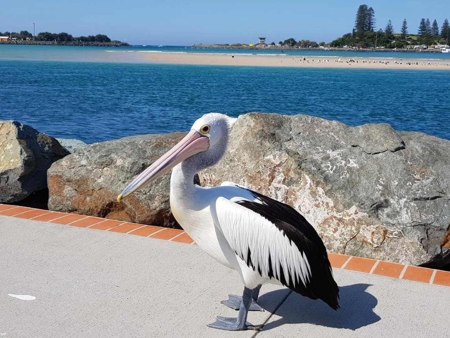 Chill-Out Lakeside @ Forster