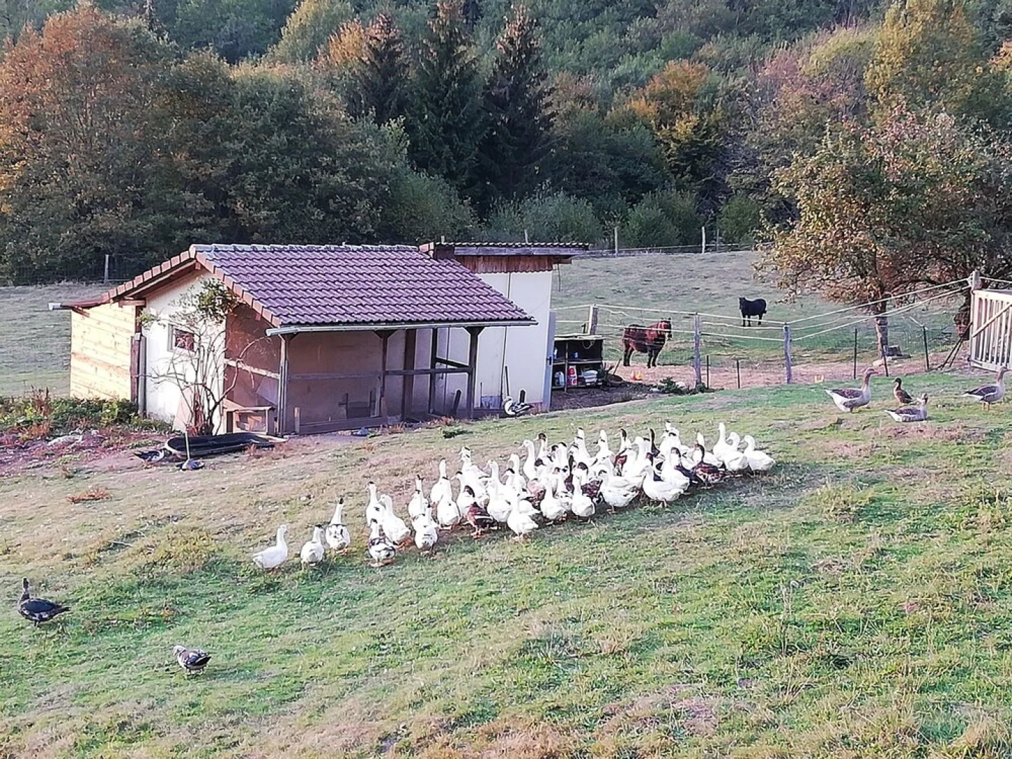 Ferme auberge à la colline