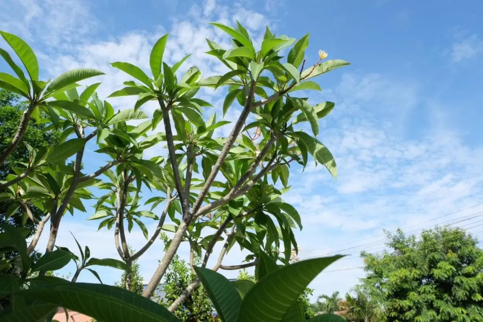me2 Singhamuntra Resort Kamphaengsaen