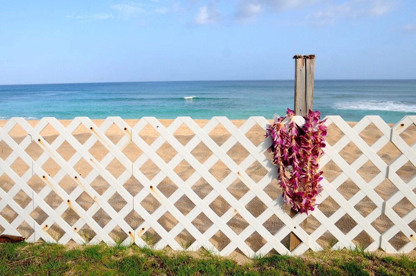 Rocky Point Beachfront/Paradise