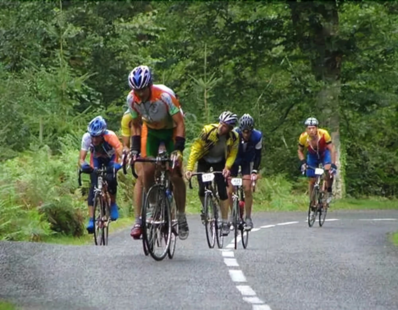 Les chalets de la forêt dIssaux