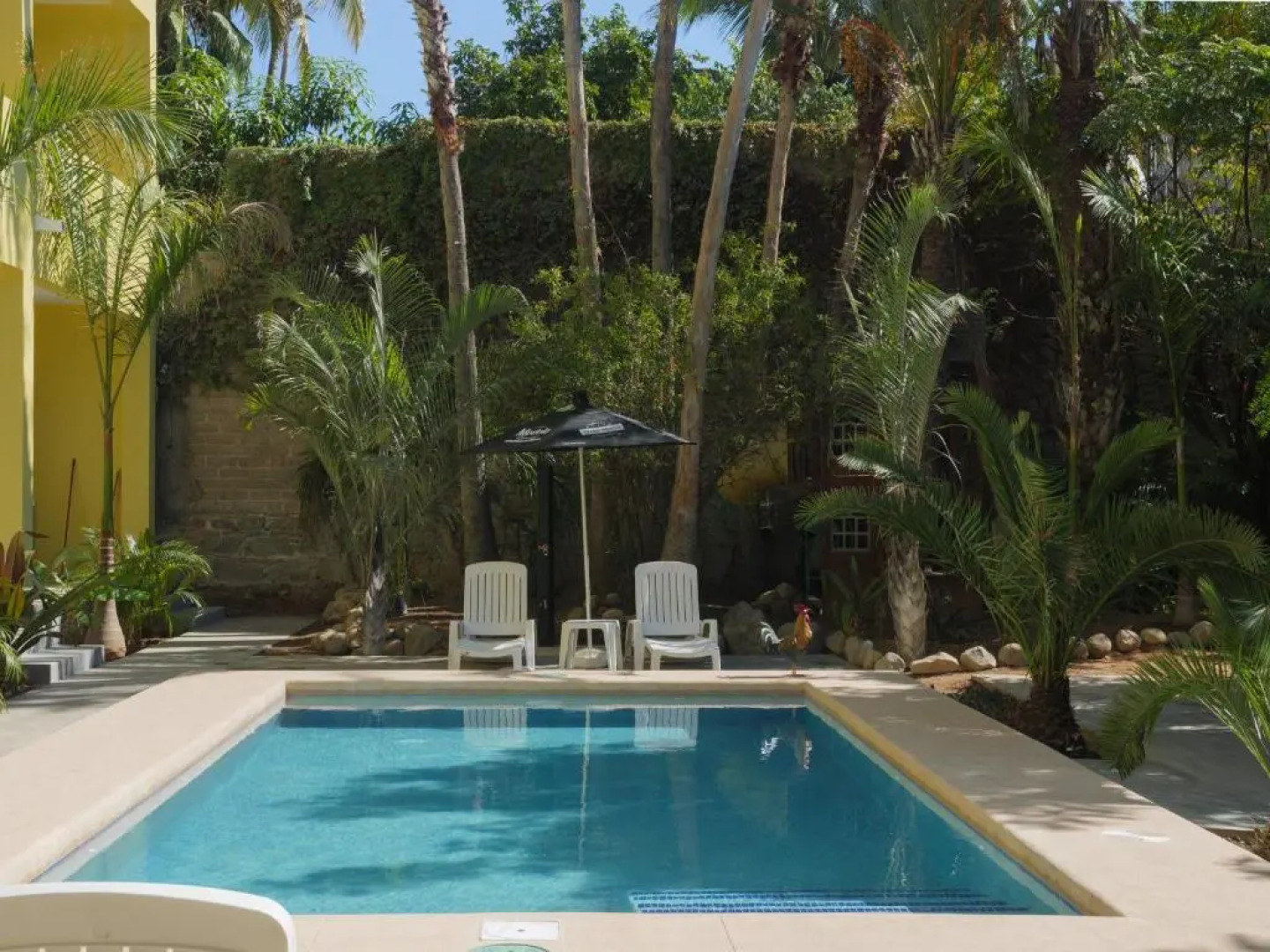 Gallo Azul, Downtown Loft Style Apartment