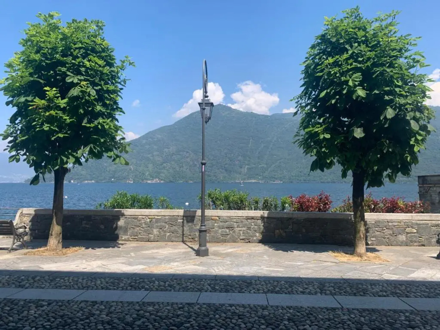 La Maison Des Lions APPARTAMENTI VACANZE