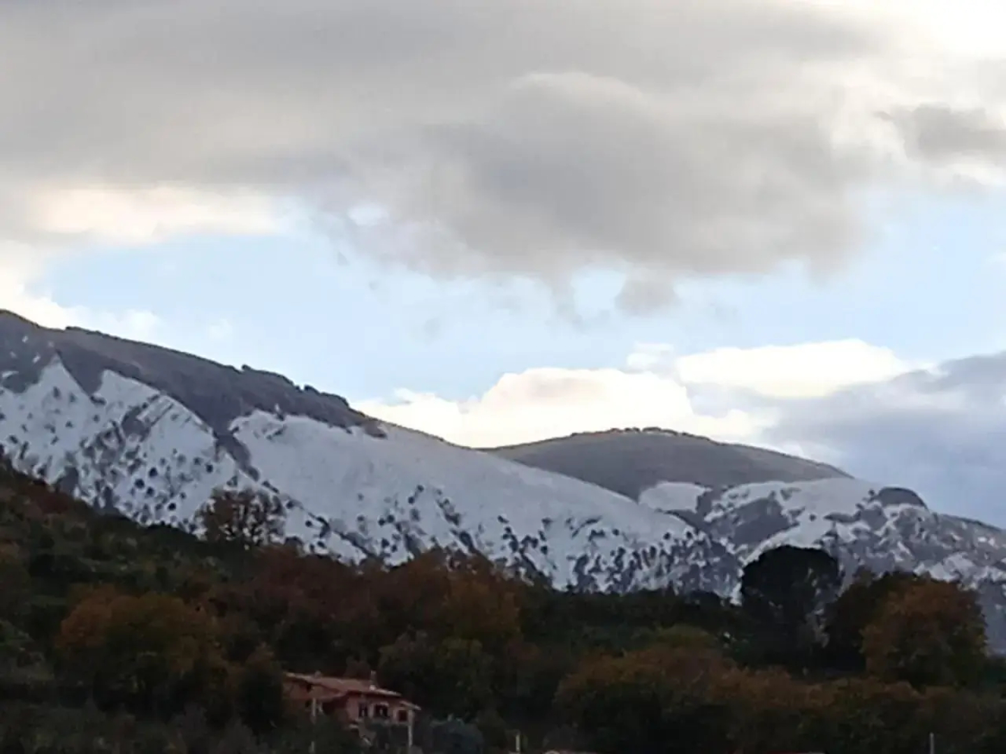 Al Belvedere