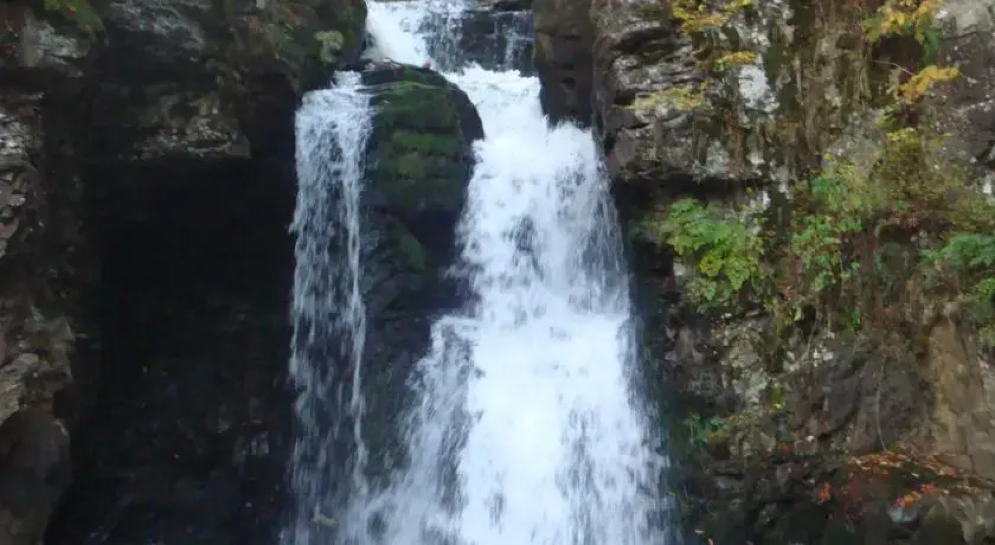 Pensiunea Adi Sapinta