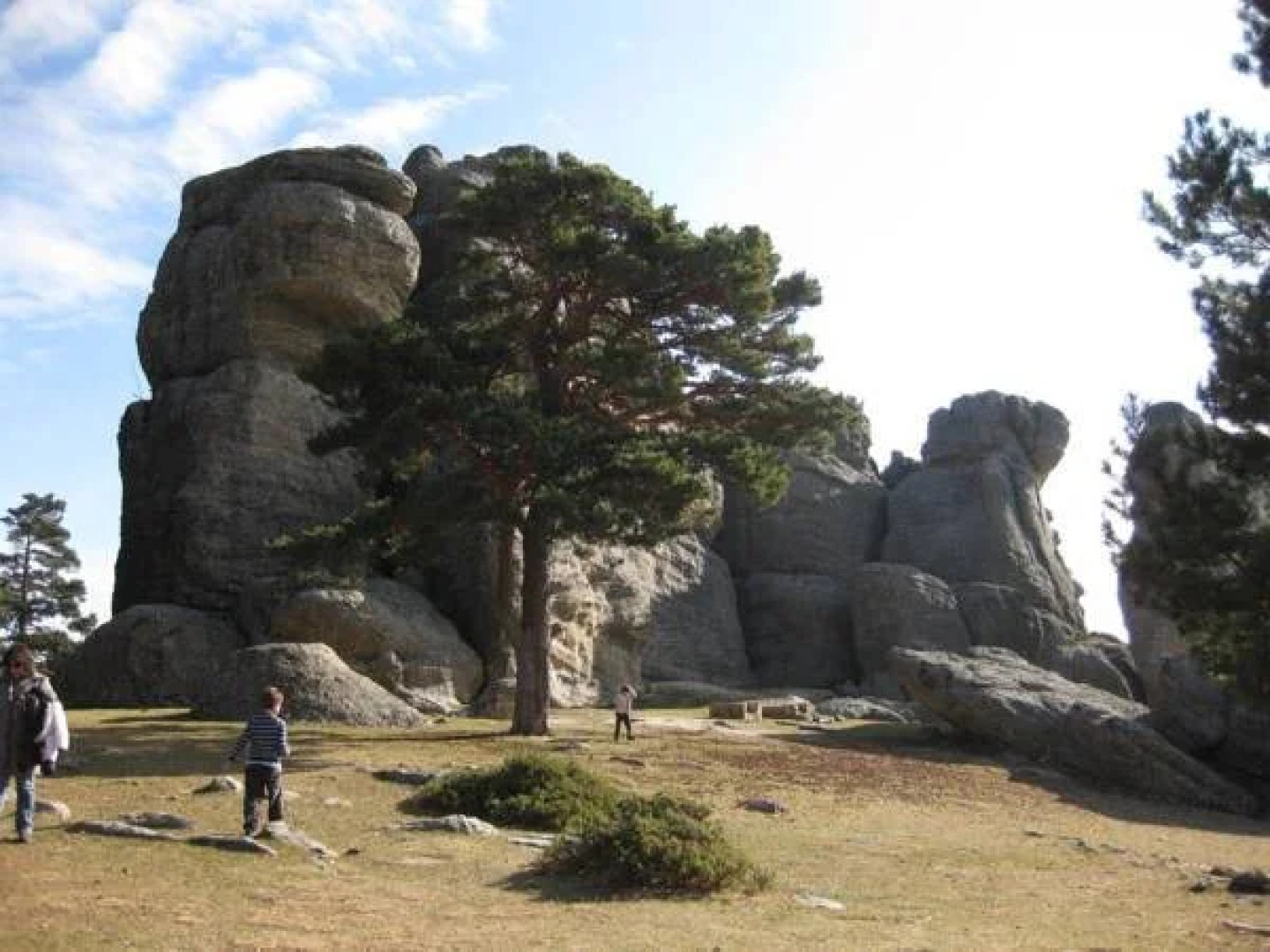 Cabaña Real de Carreteros