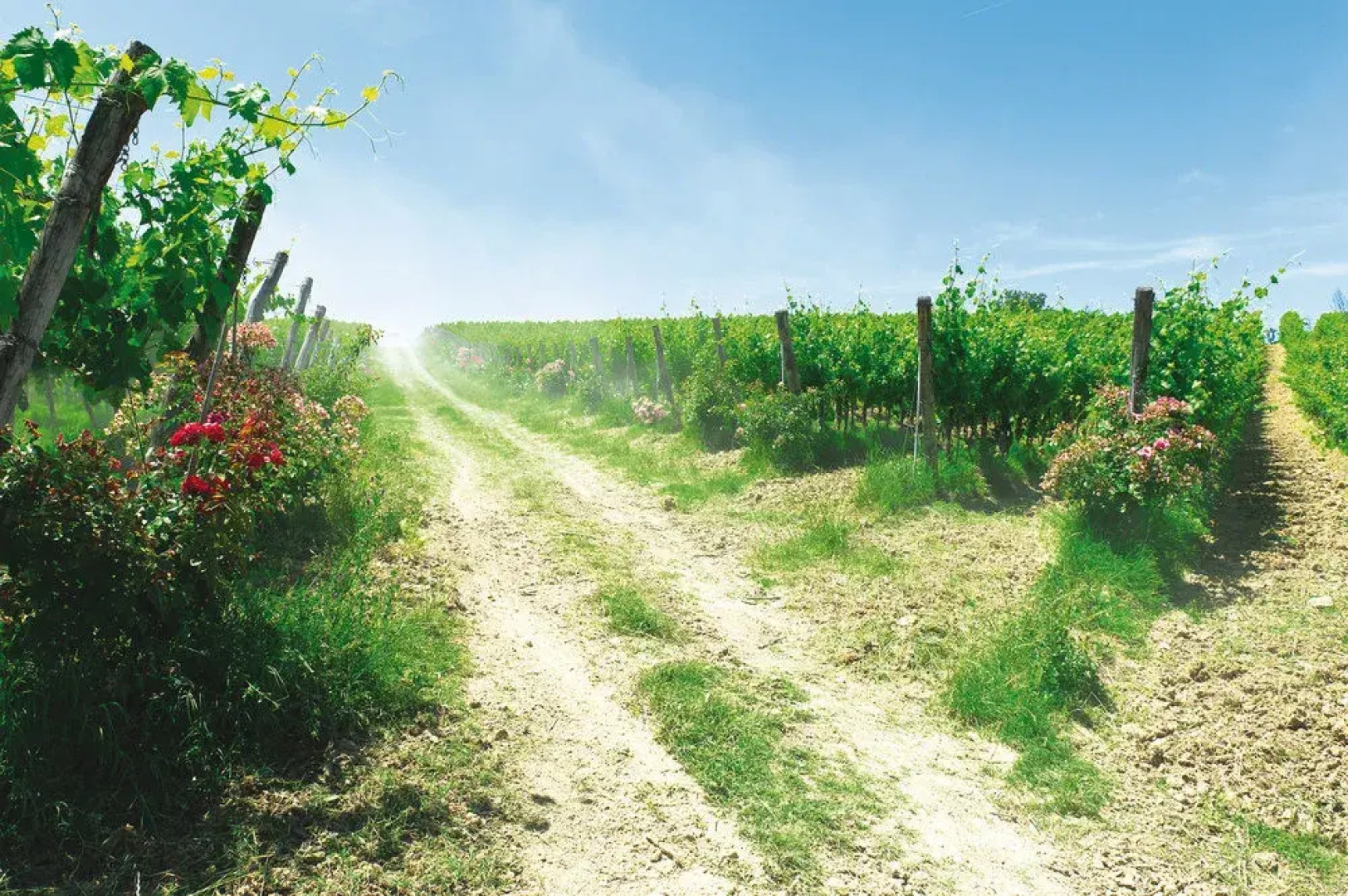 Roccafiore Residenza