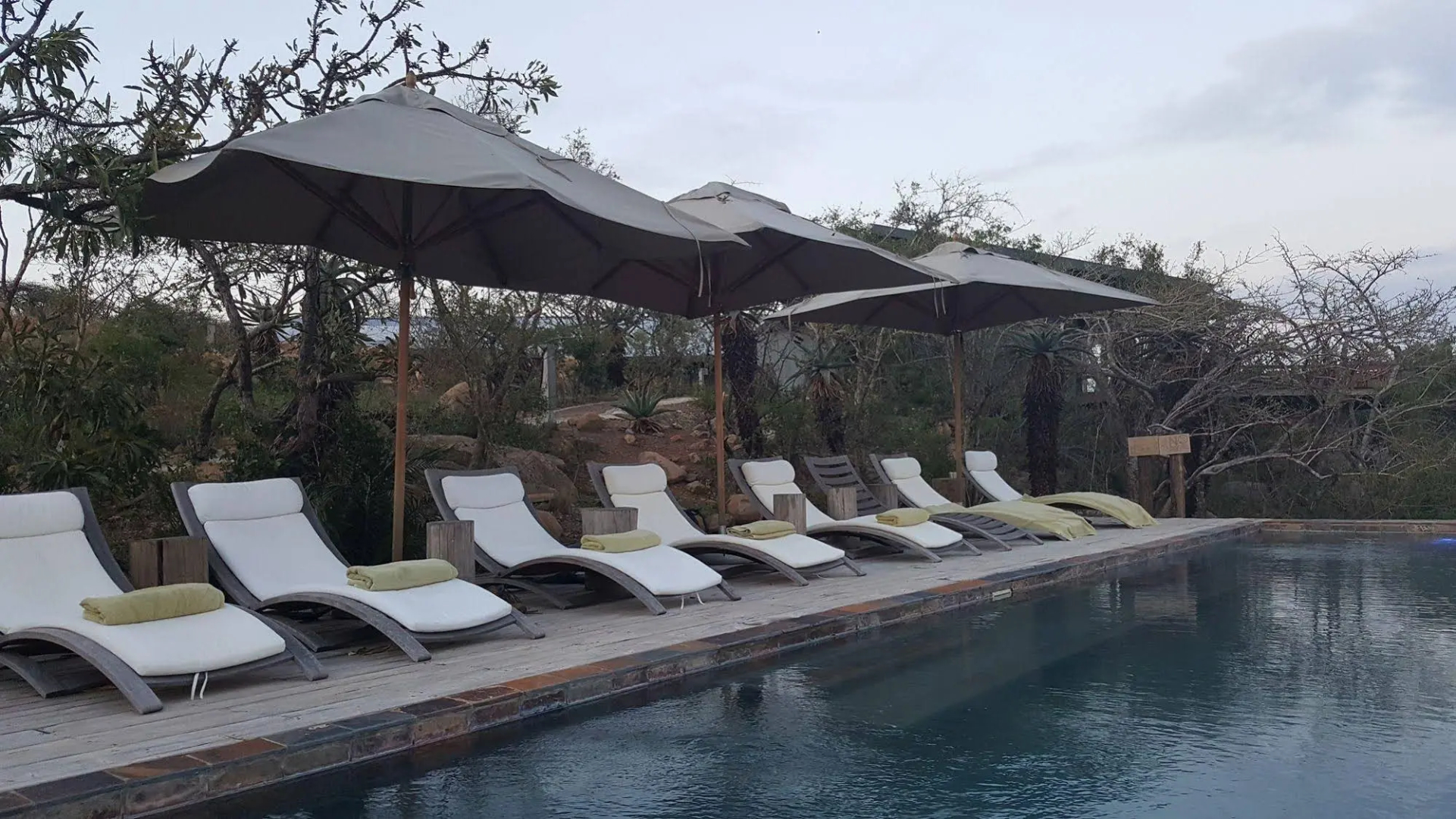 Rhino Ridge Safari Lodge