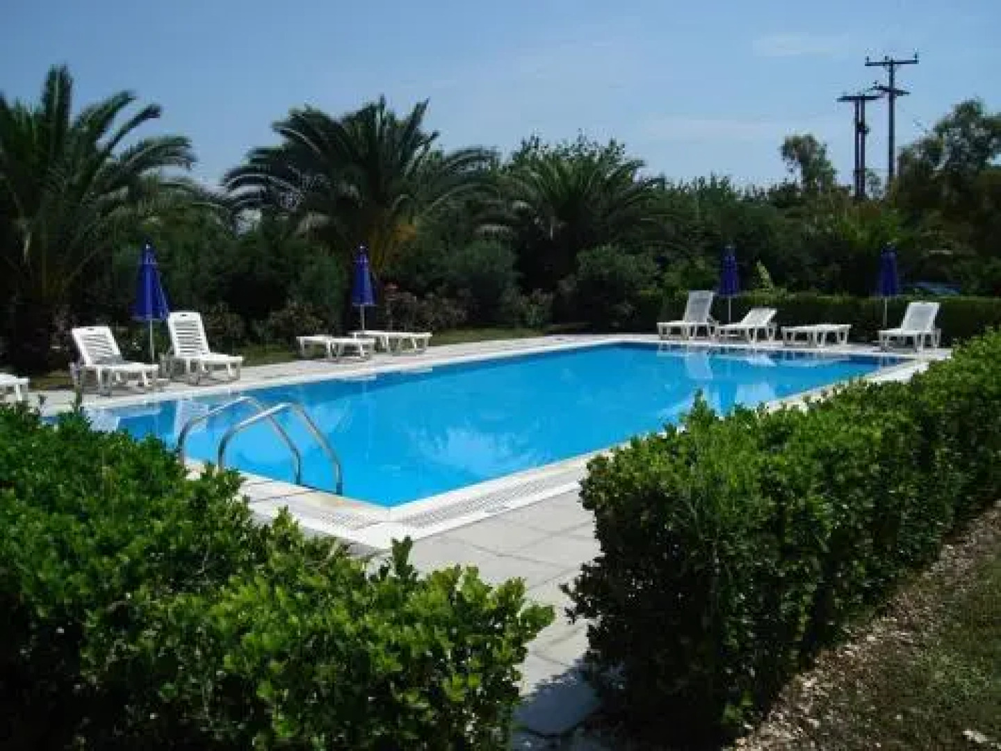 Lemontree Apartments