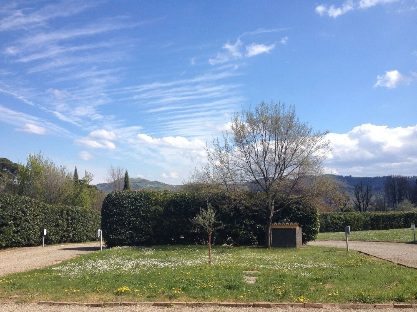 Bed & Breakfast Amarcord