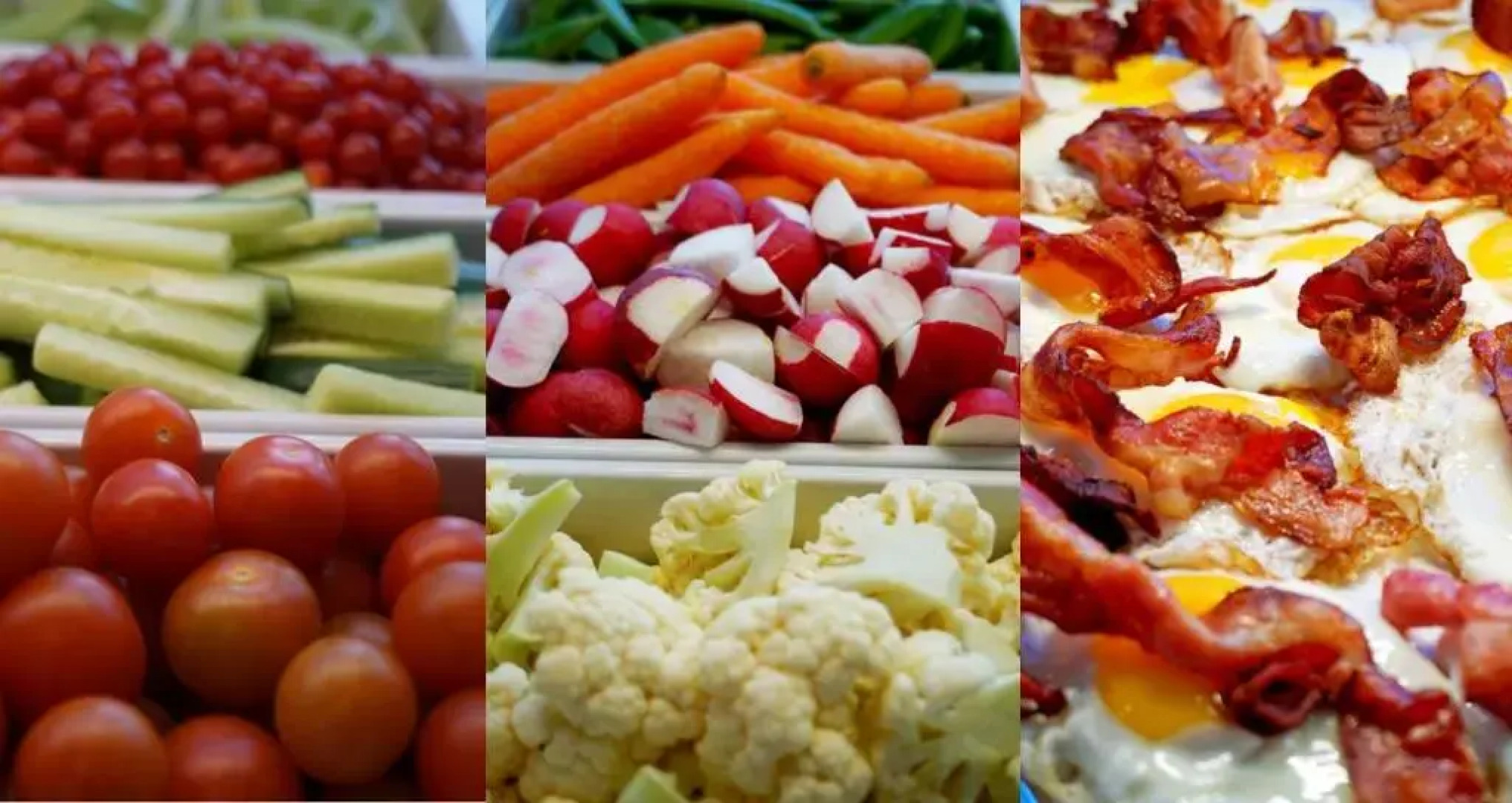 Pingvinhotellet UNN Tromsø