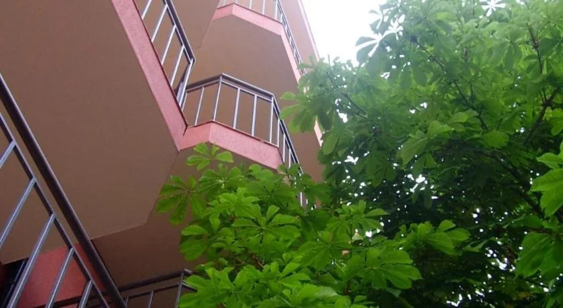 Terra Guest House