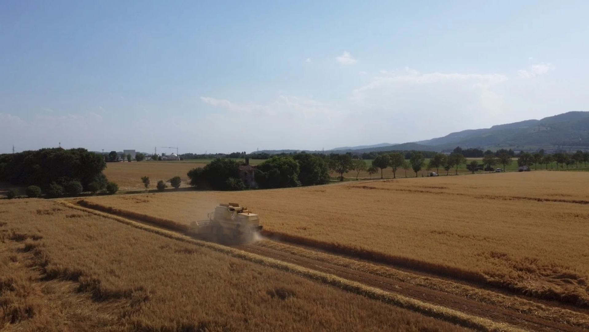 Tigli Apartment With two Bedrooms and one Bathroom on the Second Floor With 4 Metre Glass Window Apartment 6