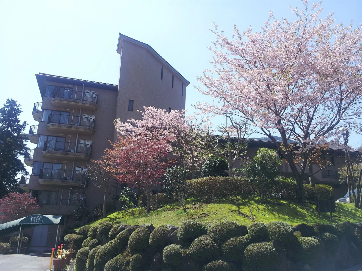 Wisterian Life Club Verde no Mori