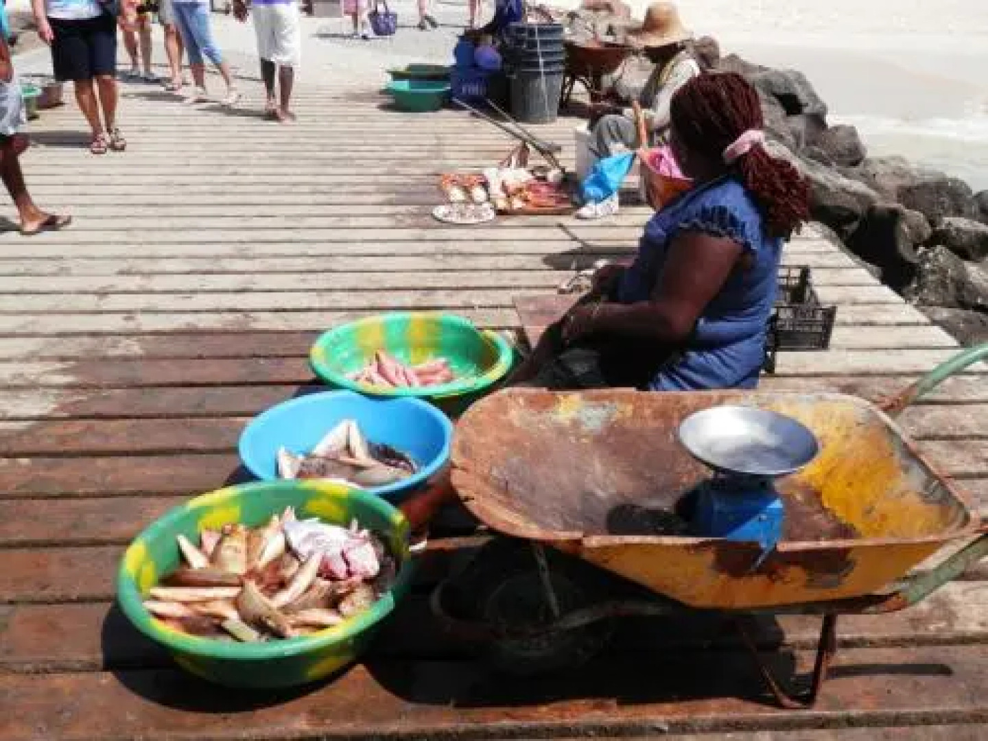 Self Catering Holidays at Tortuga Beach Resort