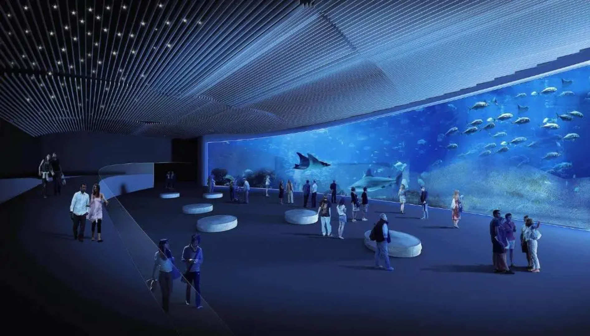 *****Finca Bella Vista