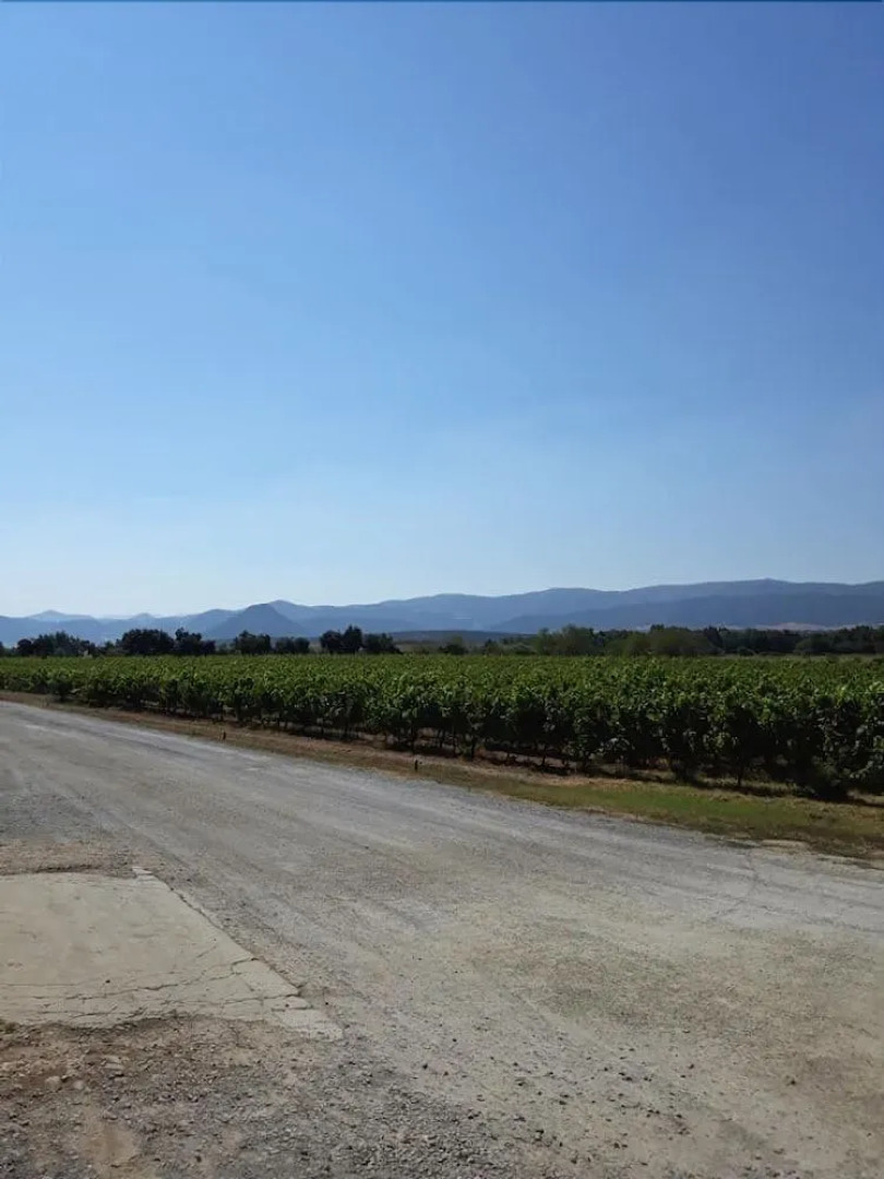 B&B Ecoturismo L'Elicriso