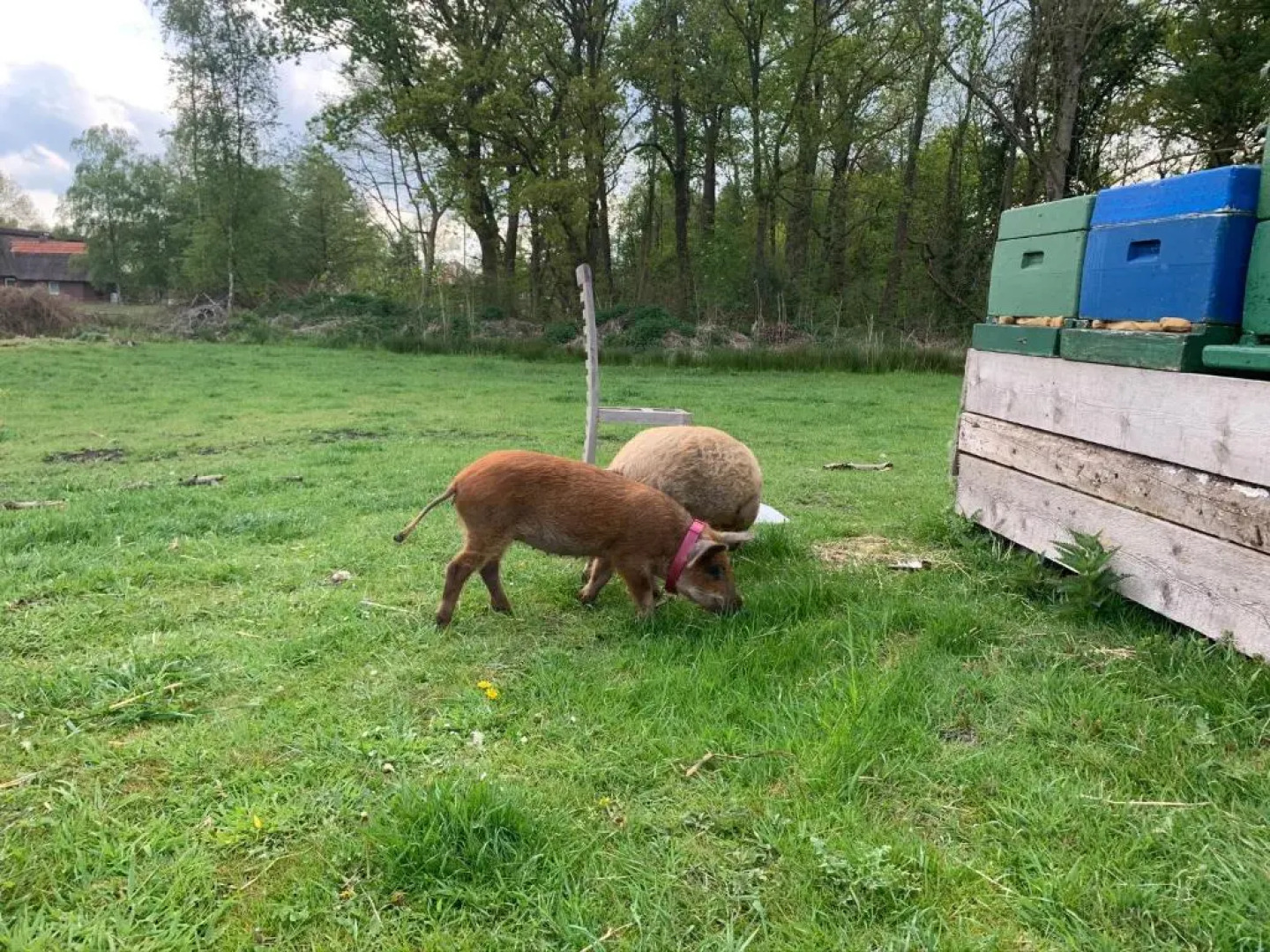 Ferienwohnung Süderfeld