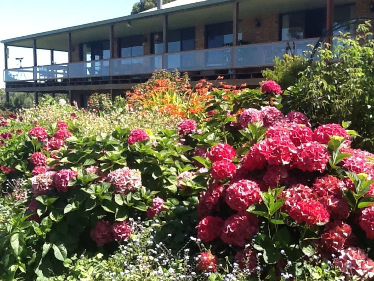 Sea Change Safety Cove