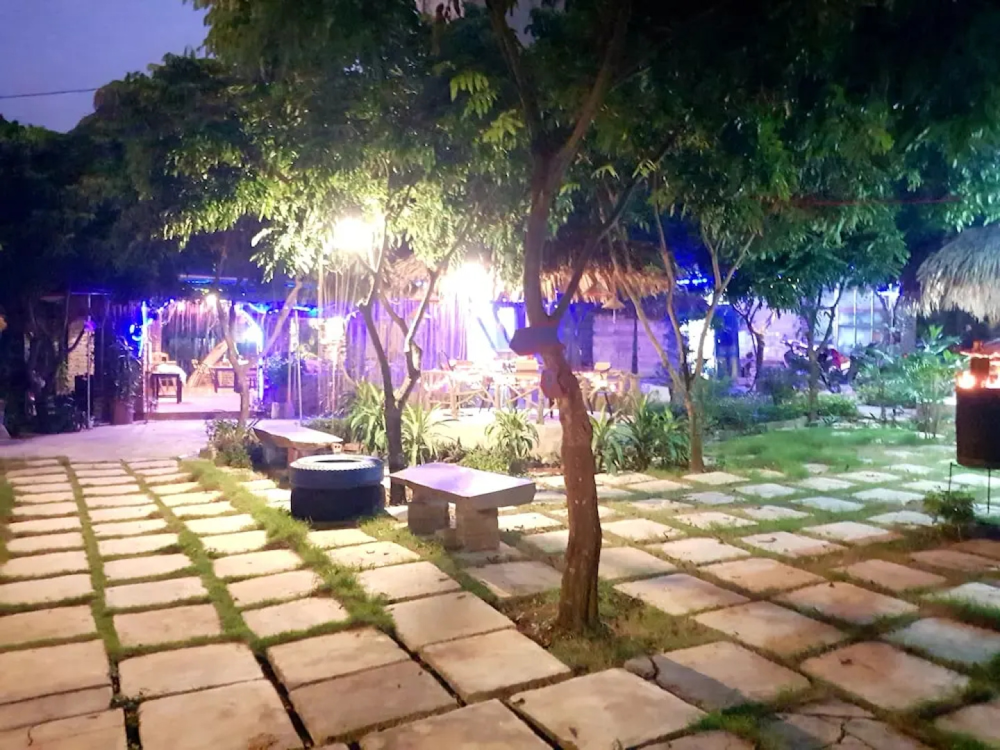 Ninh Binh bamboo