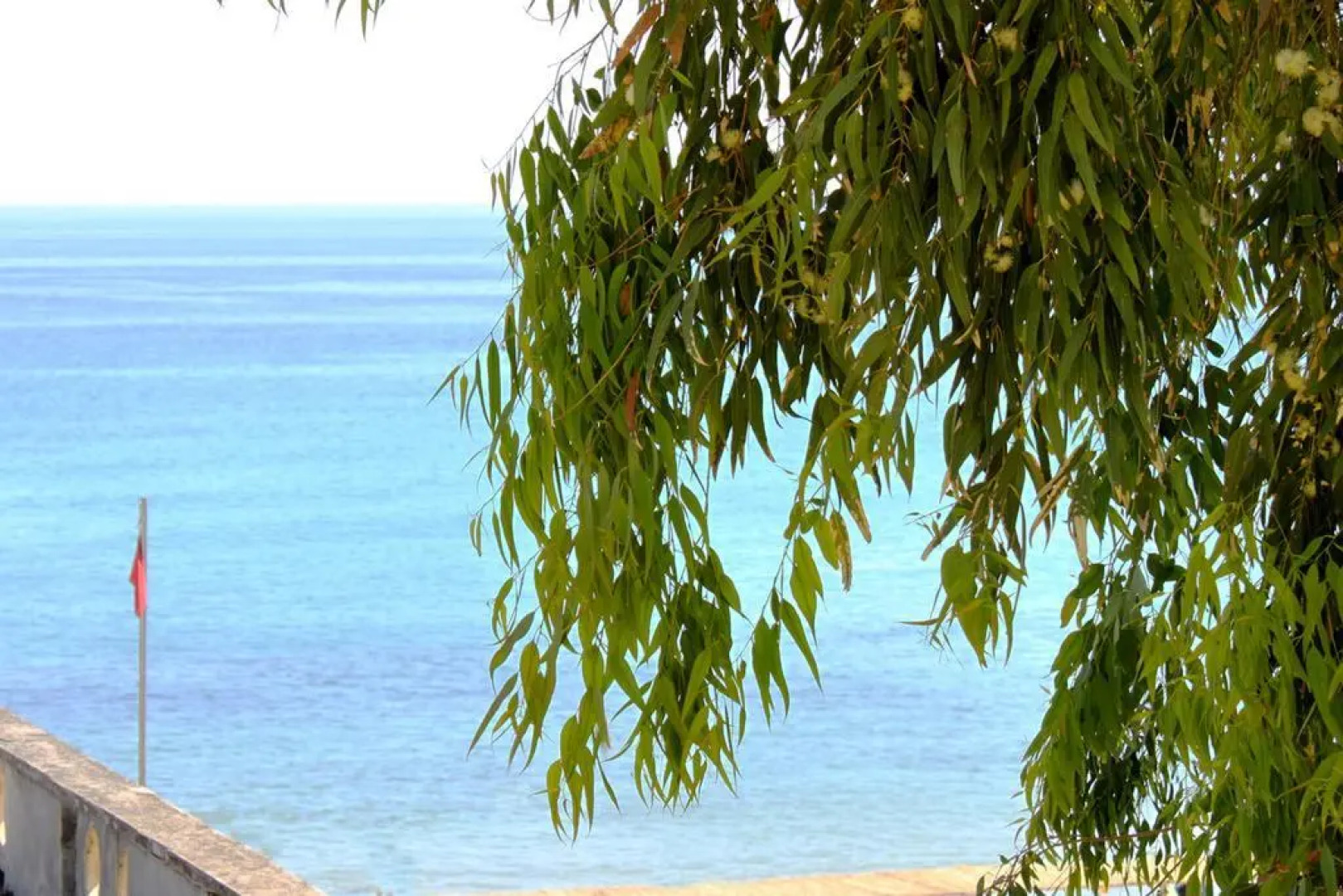 Lungomare Apartments