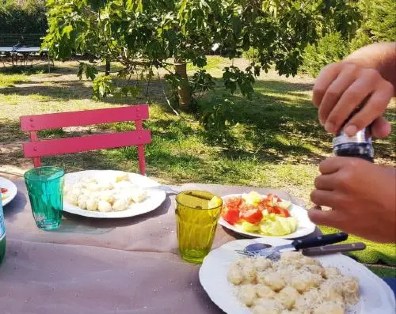 Clos des Vignes Pampelonne Vineyard